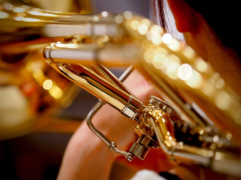 Article types de trombone